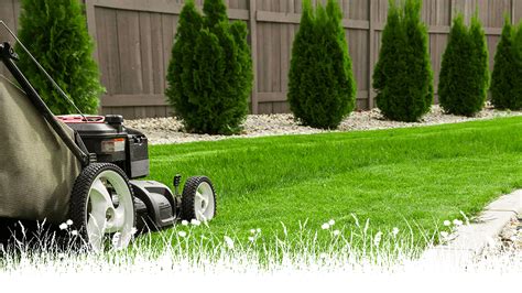 Lawn Mowing Adelaide Large And Small Lawns Premium Garden Services