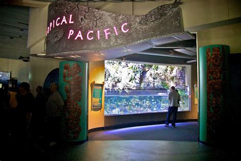 Entrance To The Tropical Pacific Gallery The Aquarium Of The Pacific