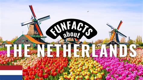 10 surprising facts about the netherlands did you know this funfacts netherlands holland