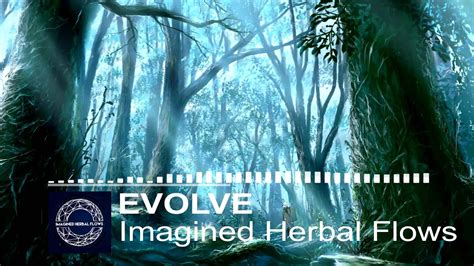 Imagined Herbal Flows Evolve Youtube