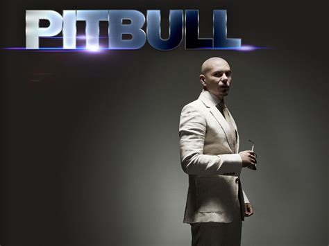Pitbull Rapper Wallpapers Top Free Pitbull Rapper Backgrounds Wallpaperaccess
