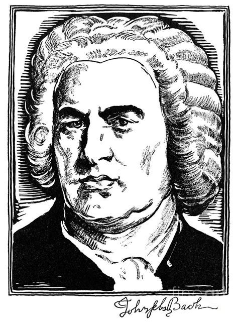 Johann Sebastian Bach Drawing By Samuel Nisenson Pixels