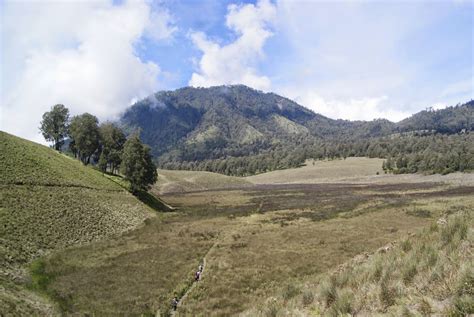 Memang akan ada dua wisata yang menjadi satu dalam kawasan yang sama. Oro-Oro Ombo: Hamparan Bunga "Lavender" ~ Aditya Zulmi
