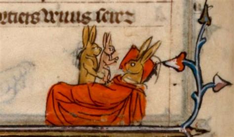 Johan Oosterman On In 2020 Medieval Drawings Medieval Paintings Rabbit Illustration