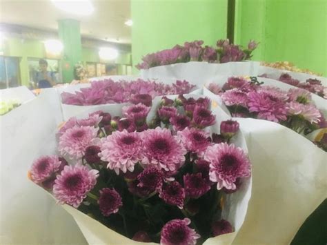 Berita pasar rawa belong foto: Rencana Beli Bunga untuk Natal? Ini Kisaran Harga di Pasar ...