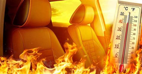 These Are The Things You Should Never Leave In The Car When Its Hot