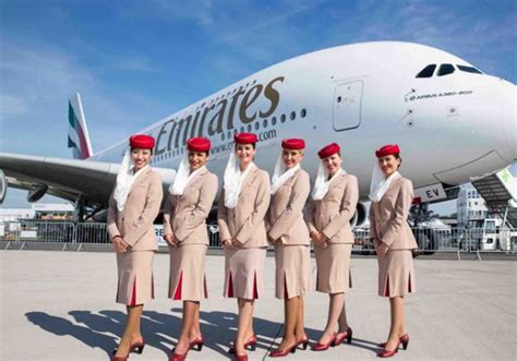 Meet The Cabin Crew Members Who Are They And What Are Their Jobs