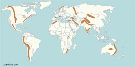 World Map Of Mountain Range Map Vector