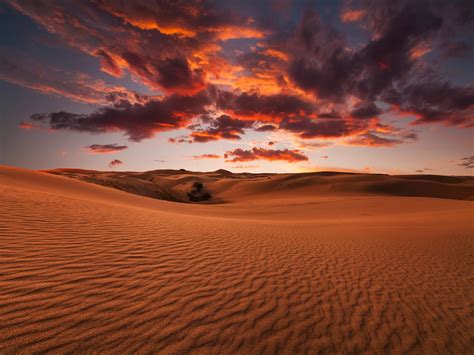Top 10 Most Mindblowing Deserts In The World Page 8