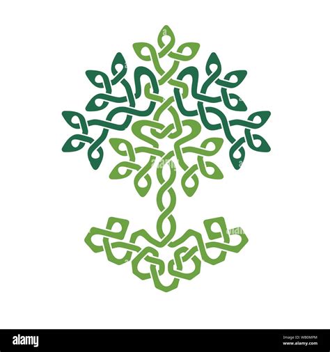 Illustration Of Celtic Tree Of Life Color Version Vector Illustration