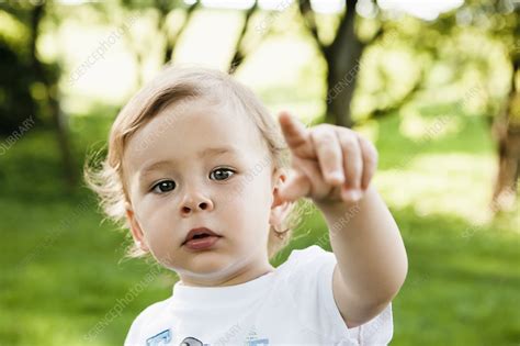 Close Up Of Toddler Pointing In Park Stock Image F0052312