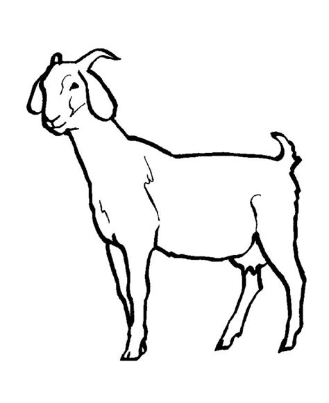 Coloring pages farm animals cute goat stock vector. download Goat Coloring Pages for kids | Best Coloring ...