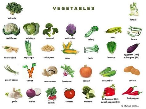 Green Fruits And Vegetables List English Lessons