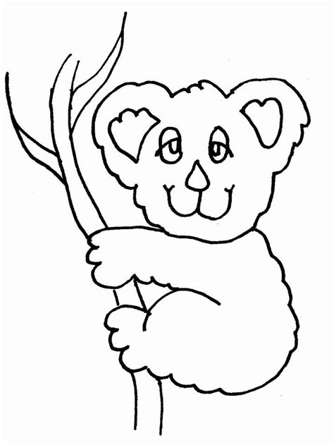 koala bear coloring sheets animal coloring pages templates pinterest coloring animal