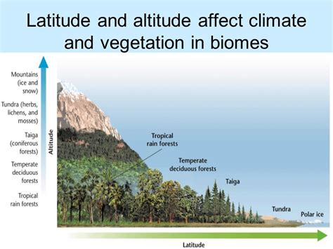 Temperate Seasonal Forest Climate Utility Gen