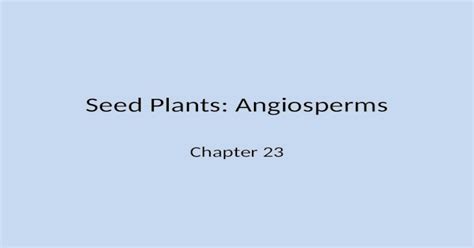 Pptx Seed Plants Angiosperms Chapter 23 Outline Introduction Phylum