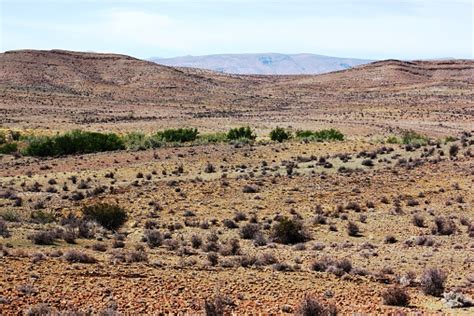 South Africa Desert Landscape Of The Kalahari Desert Stock Photo