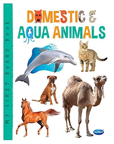 Buy Navneet My First Board Book Series Domestic Animals Book Online