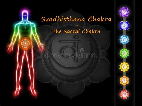 Das Sakrale Chakra Stock Abbildung Illustration Von Spiritus