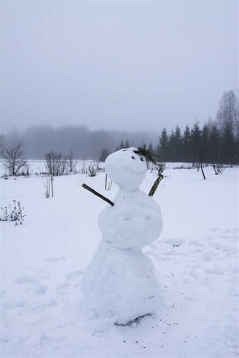 Funny Snowman On Snow Covered Rural Field Stock Photo Image Of Alpine