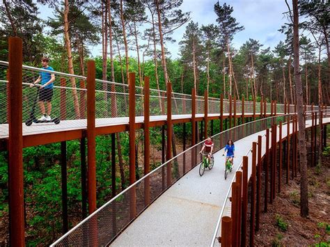 Elevated 360° Pathway Lets You Cycle Through The Trees In Belgium In