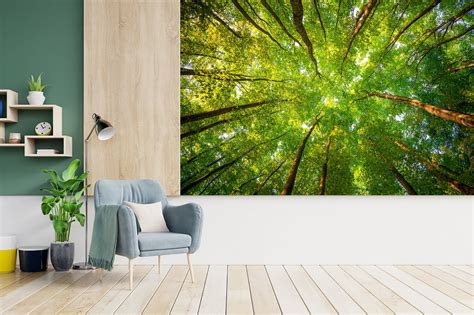 Trees Wall Murals Forest Mural Peel And Stick Printable Etsy