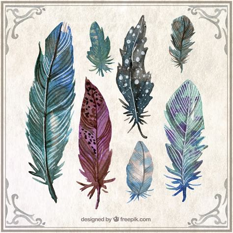 Abstract Feathers In Hand Painted Style Vector Free Download