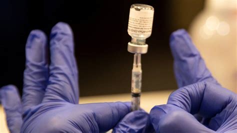 Pfizer animal health the resulting tv, print, outdoor, and promotional campaign, dubbed tackling men's health, broke in time for the fall 2004 pfizer inc. Here's who gets the coronavirus vaccine next in KY ...