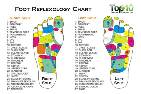 10 Health Benefits Of Reflexology As An Alternative Treatment Top 10 Home Remedies