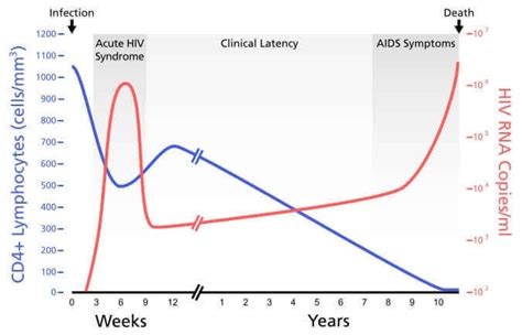 Hiv Viral Load Numbers Chart