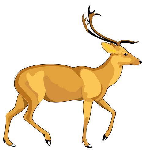 Download Deer Vector Png Image For Free