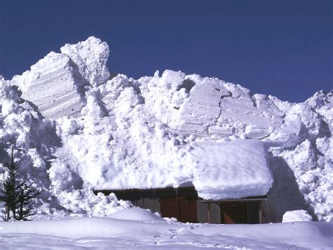Avalanche.org is a partnership between the american avalanche association (a3) and the. The Week in Vocab