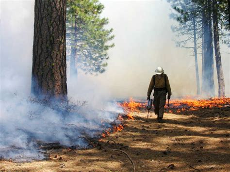 Forest Service Stops Controlled Burns As Wildfires Ramp Up Npr