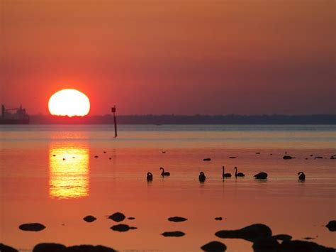 Key points parts of melbourne and regional victoria lost power due to rolling outages a cool change in melbourne sent temperatures plummeting from above 40c to below 30c Melbourne weather: United, Ausnet, Powercor power outages ...