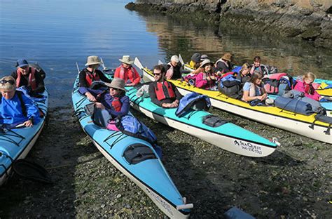 In Search Of Orcas Kayaking In The San Juan Islands