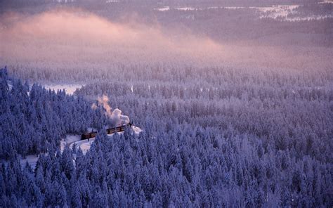Nature Landscape Winter Forest Mist Train Smoke Trees Cold