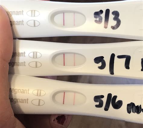 Faint Positive Pregnancy Test At 5 Weeks Pregnancy Test