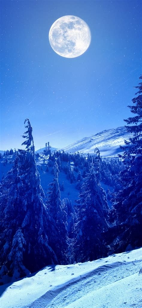 1080x2340 Full Moon Over Winter Forest 1080x2340