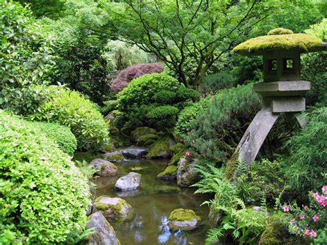 Jardín Japonés Historia Variedades Y Características
