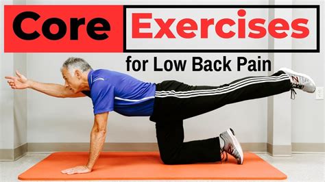 7 Simple Core Exercises That Prevent Low Back Pain The Back Life