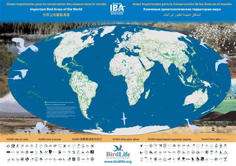 Important Bird Areas Of The World By Birdlife International Issuu