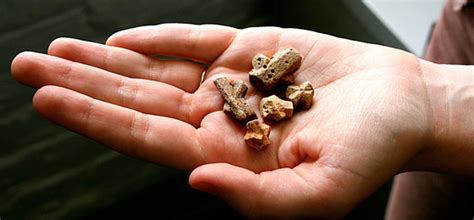 All other vehicles and visitors will need to park at the overflow parking lot adjacent to the campground office. Fairy Stone State Park