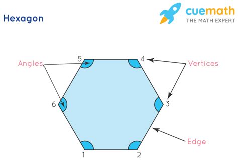 What Is The Sum Of All The Angles Of A Hexagon A 180° B 360° C