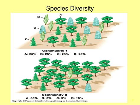 Ppt Species Abundance And Diversity Powerpoint Presentation Free