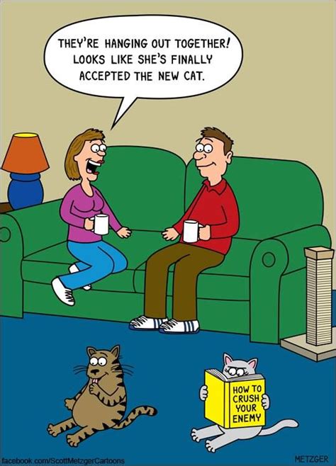 26 Adorably Funny Cat Cartoons That Will Get You Through The Day Cat Jokes Crazy Cats Cat Comics