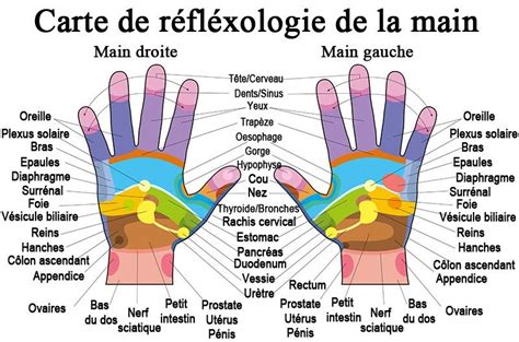 La Manipulation Des Mains Pour La Santé Hand Reflexology Reflexology