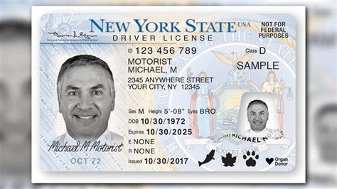 X Gender Marker Available For New York Drivers Licenses Id Cards