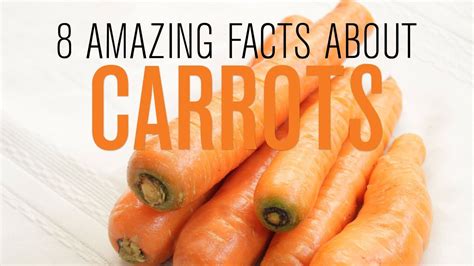 8 Amazing Facts About Carrots Fun Facts The Way You Are Yoga Videos