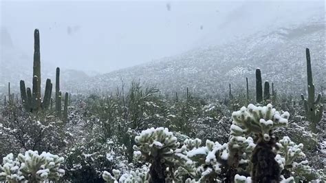 Arizona Slammed By Record Snowfall In Rare Winter Season Photos