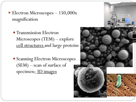 Cellular life is life with cells. PPT - Chapter 7-1 Life is Cellular PowerPoint Presentation, free download - ID:2697551